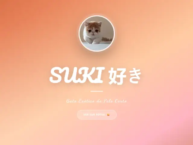 Captura web Suki